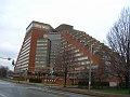 CIMG1264