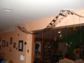 CIMG1352