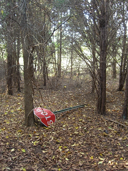 CIMG2556.JPG - Randomly in the woods near the cache