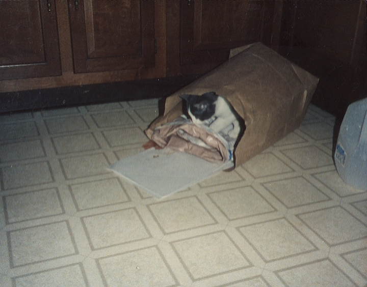 casey8.jpg