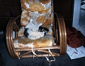 casey4