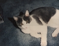 casey7