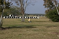 IMG_0207