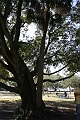 IMG_0212