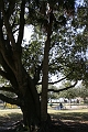 IMG_0213