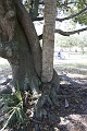 IMG_0214