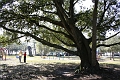 IMG_0217