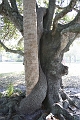 IMG_0220
