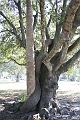 IMG_0221