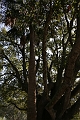IMG_0222