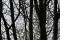 IMG_0085