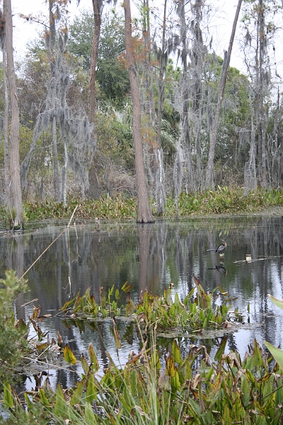 IMG_0189.JPG