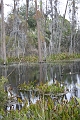 IMG_0189