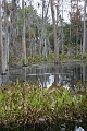 IMG_0190