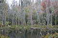 IMG_0191