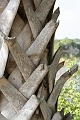 IMG_0203