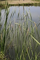 IMG_0204