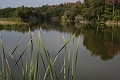 IMG_0205
