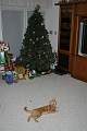 IMG_0224