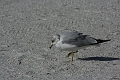 IMG_0273