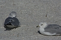 IMG_0280