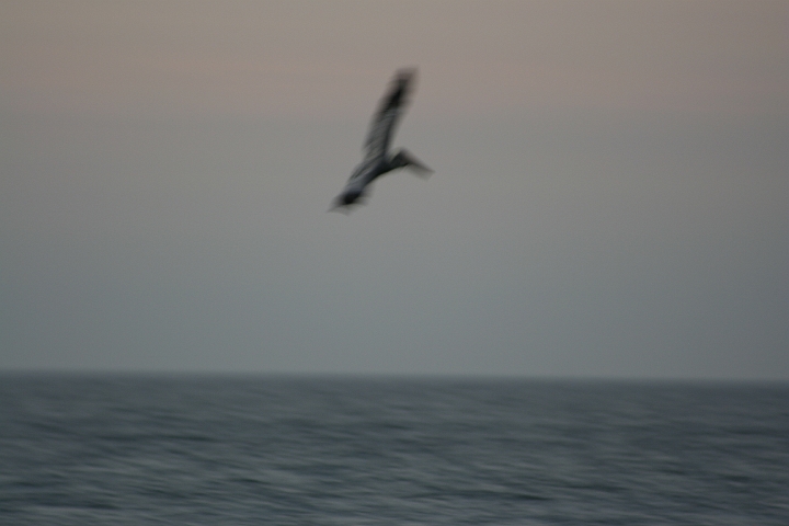 IMG_0364.JPG
