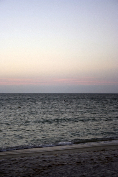 IMG_0377.JPG