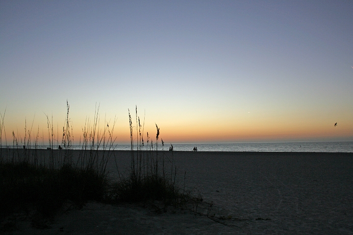 IMG_0380.JPG