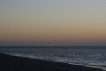 IMG_0374