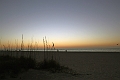 IMG_0381