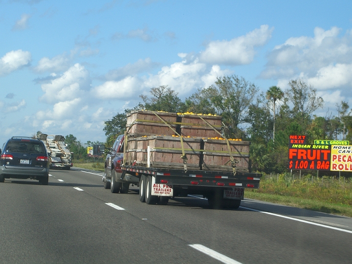 CIMG2920.JPG - Yes, remind me I'm leaving Florida. Thanks.