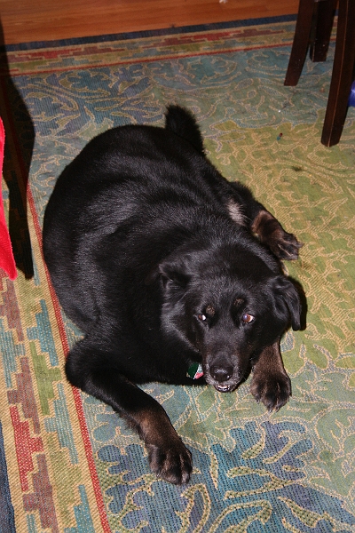 IMG_0384.JPG