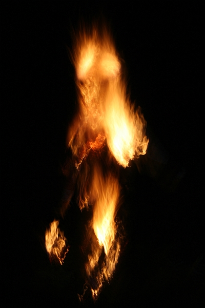 IMG_0446.JPG