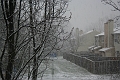 IMG_0505