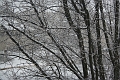IMG_0506