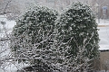 IMG_0513