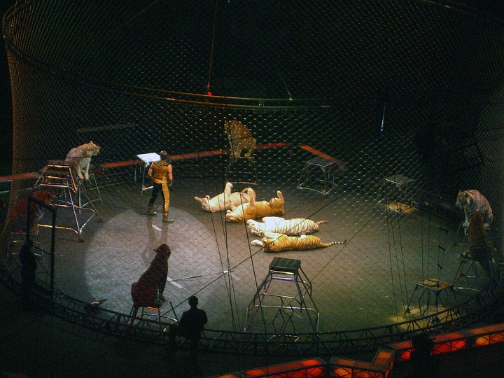 CIMG3114.JPG