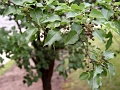 DSC00033