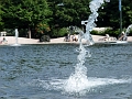 DSC00636