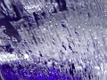 DSC00770