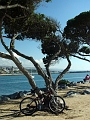 031116-California
