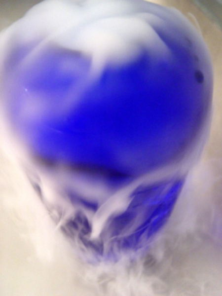 DSC01542.jpg