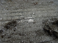 DSC01716