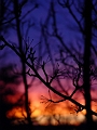 DSC01741