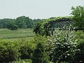 DSC01924