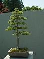 DSC01930