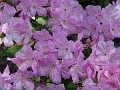 DSC01933