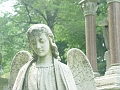 DSC01980