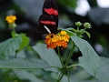DSC02032