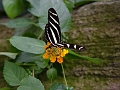 DSC02033